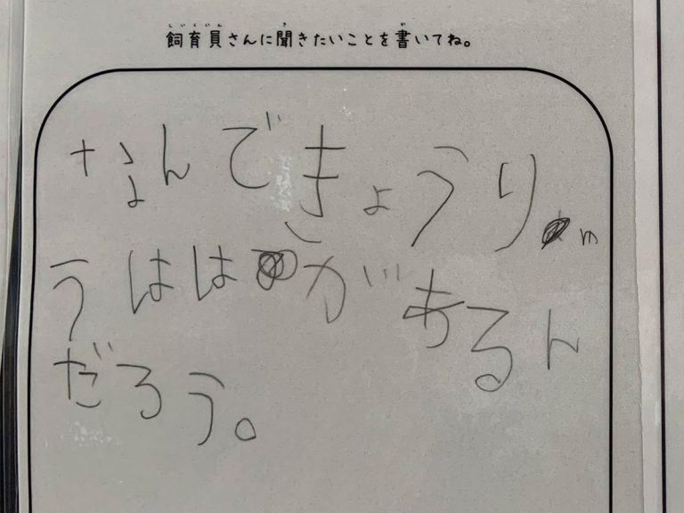 園では飼育していない恐竜について質問された飼育員 その回答とは Grape グレイプ