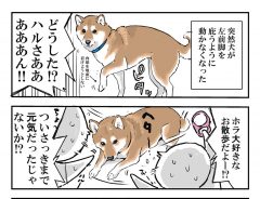 突然動けなくなった愛犬　心配して病院に連れて行くと？　「笑った」「なんということ」