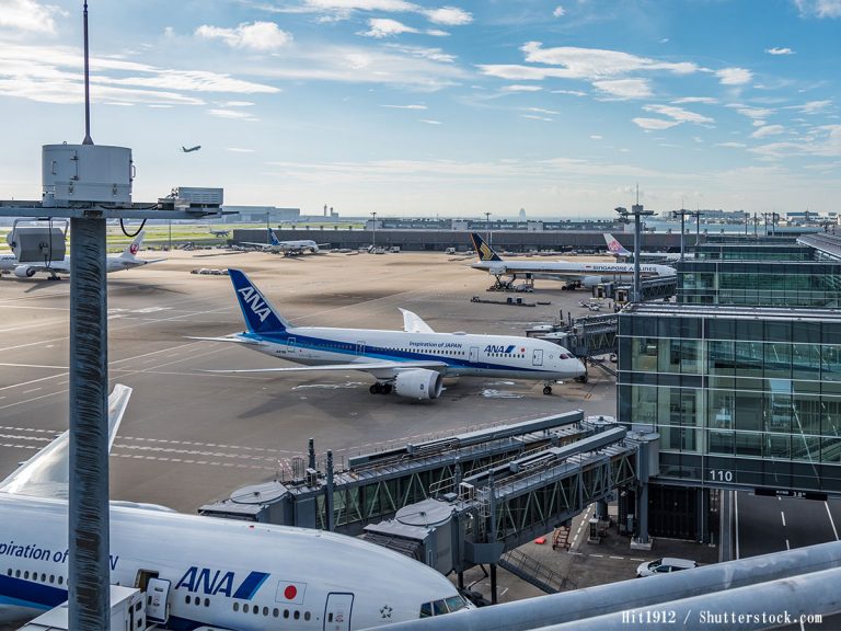 かわいい 遊び心がある 羽田空港でひときわ注目を集めた飛行機がこちら Grape グレイプ