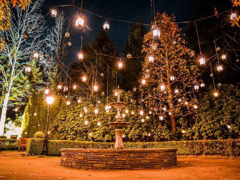 まるで ラプンツェル の世界観 美しい仙台のイルミネーション Grape グレイプ