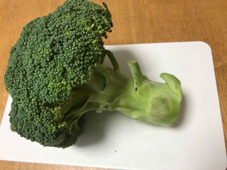 目から鱗 知ってトクするブロッコリーの崩れない切り方とは Grape グレイプ
