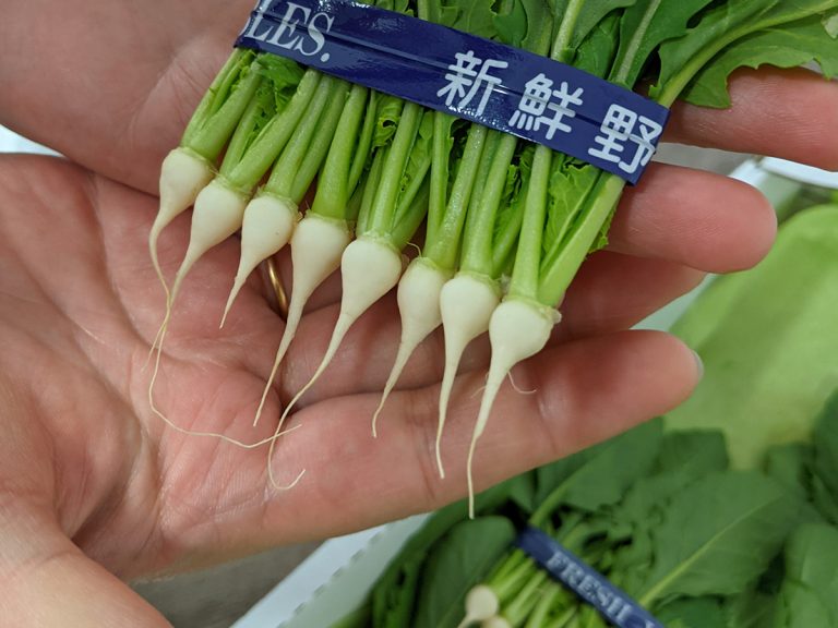豊洲市場ドットコムが紹介した見慣れない珍しい野菜に反響 これは一体何 Grape グレイプ