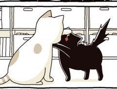 白猫から猫パンチ！　その後の黒猫が「かわいすぎる」「笑った」