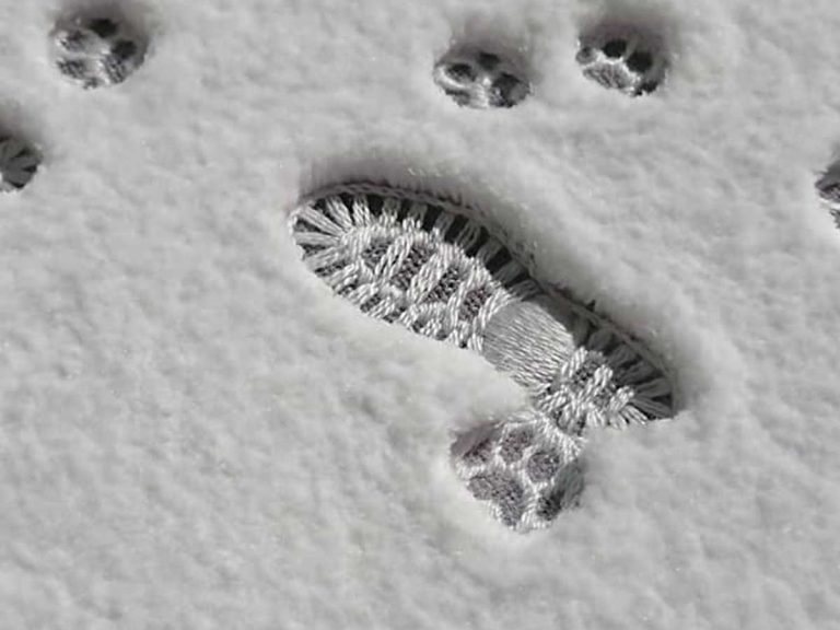 すごい あっという間に癒された 雪の上についた足跡に 感動の声 Grape グレイプ