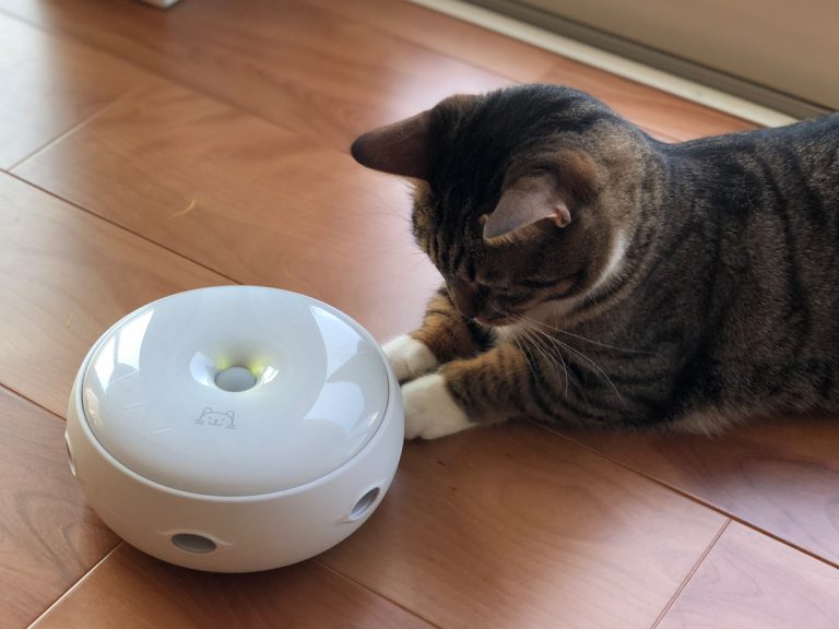 自動猫じゃらし機 猫じゃらシッター 期待せずに動画をみたら可愛すぎた Grape グレイプ