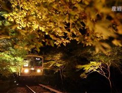 艶やかに輝く紅葉のトンネルを超えて、京の奥座敷へ！ 叡山電鉄　貴船もみじ灯篭