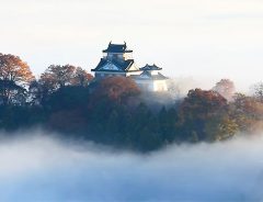 天空の城は竹田城だけじゃない！見られるのは年に10回程度　雲に浮かぶ越前大野城