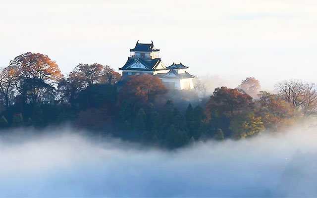 天空の城は竹田城だけじゃない 見られるのは年に10回程度 雲に浮かぶ越前大野城 Grape グレイプ
