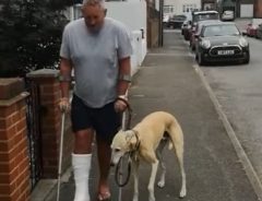 脚をかばうように歩く犬　病院で検査をした結果？　「大笑いした」「優しすぎる」