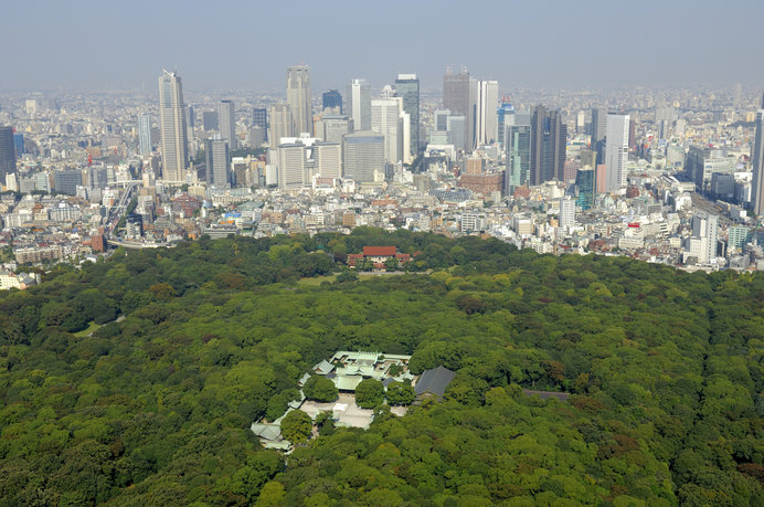 明治神宮と新宿副都心