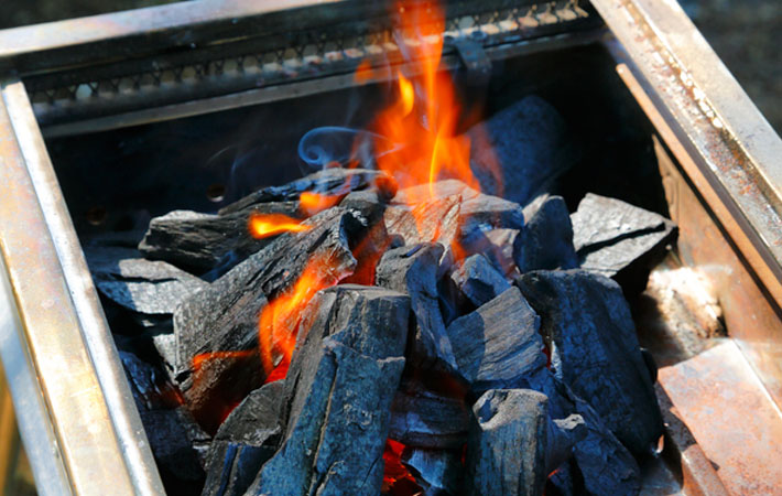 炭と薪では用途が違う 炭と薪の違いと火のつけ方のコツ 東京ガス ウチコト